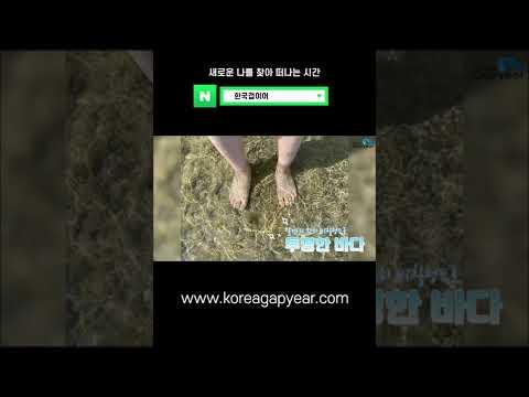 #Shorts 가성비 갑. 여행과 공부를 동시에! 몰타 🇲🇹 어학연수 후기